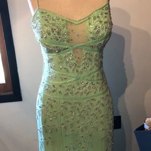 Cache beaded gown